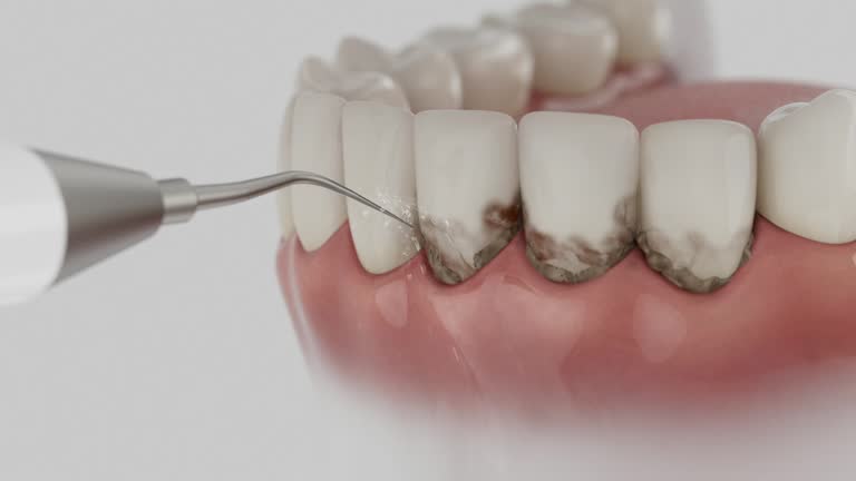 Reliable Dental contractor in Lake Arbor, MD by Dentist Open Now
